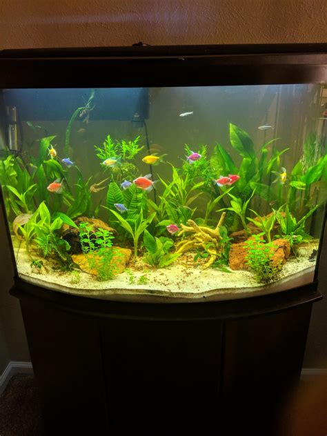 glofish tanks